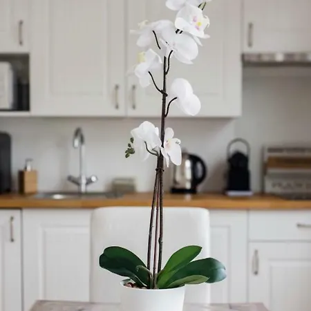 Appartamento Bien-etre 2 Au Coeur De -