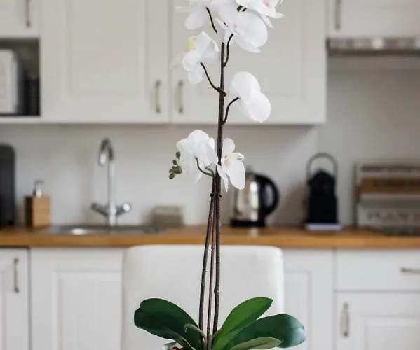 דירה Bien-etre 2 Au Coeur De -